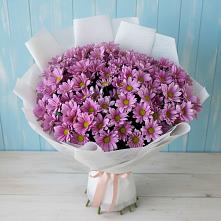 Букет цветов из:  Хризантемы в Великом Новгороде