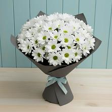 Букет цветов из:  Хризантемы #REPLACE_PRED# Великом Новгороде