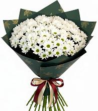 Букет цветов из:  Хризантемы в Великом Новгороде