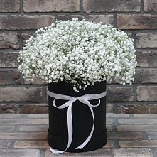 Цветочная композиция из Гипсофила в шляпной коробке в Великом Новгороде