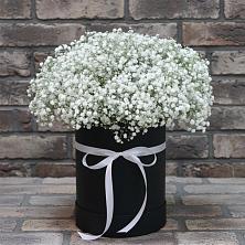 Цветочная композиция из Гипсофила в шляпной коробке в Великом Новгороде